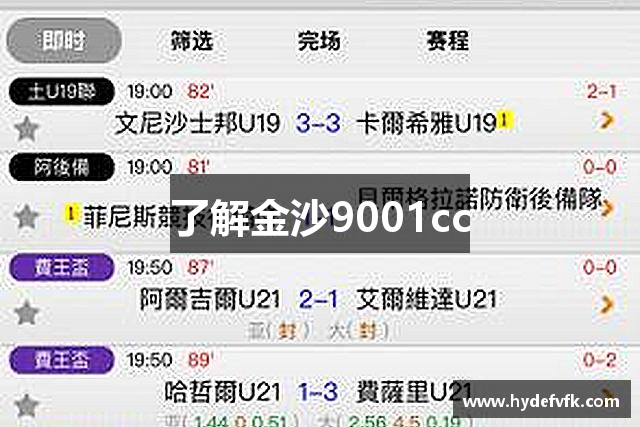了解金沙9001cc
